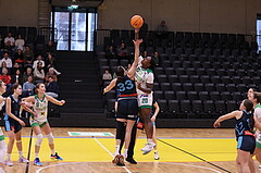 26.01.2025, Graz, Raiffeisen Sportpark, Basketball Damen Superliga 2024/25, Grunddurchgang, 12.Runde, UBI Graz vs. DBB WelsVienna Timberwolves
