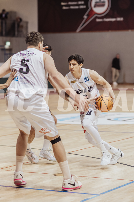 Basketball, Basketball Zweite Liga 2023/24, Viertelfinale Spiel 2, Blackbirds G