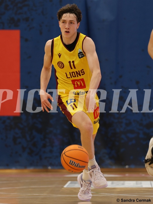 Basketball Zweite Liga 2024/25, Grunddurchgang 8.Runde Traiskirchen Lions NextGen vs. BBU Salzburg