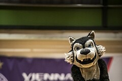 Basketball, ABL 2018/19, Grunddurchgang 12.Runde, Vienna D.C. Timberwolves, UBSC Graz, 