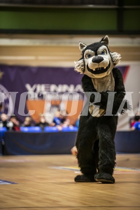 Basketball, ABL 2018/19, Grunddurchgang 12.Runde, Vienna D.C. Timberwolves, UBSC Graz, 