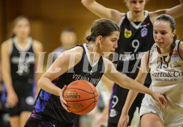 Basketball Austria Cup 2022/23, Viertelfinale Basket Flames vs. Vienna United
