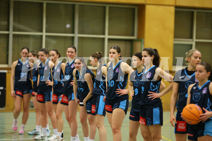 Basketball Damen Superliga 2024/25, Grunddurchgang 6.Runde Vienna United vs. Vienna Timberwolves


