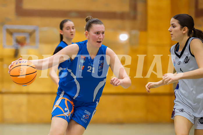 Basketbal lAustria Cup 2024/25, Viertelfinale Vienna United vs. DBB Wels


