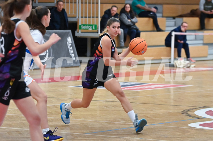 Basketball Superliga 2024/25, Grunddurchgang 9.Runde, DBB Wels vs Vienna United,

