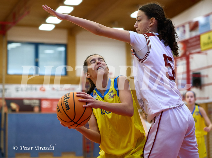 Basketball Superliga 2024/25, SLWU16 Traiskirchen Lionesses vs. UBBC Herzogenburg


