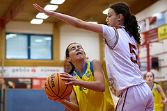 Basketball Superliga 2024/25, SLWU16 Traiskirchen Lionesses vs. UBBC Herzogenburg


