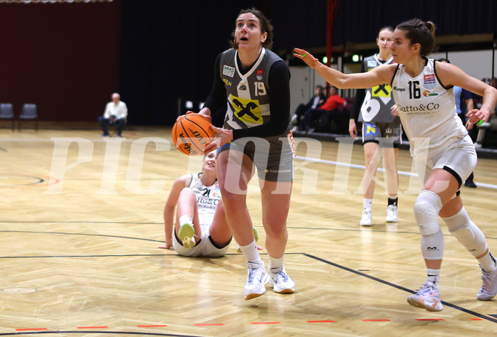 Basketball Damen Superliga 2023/24, Grunddurchgang, 13 Runde Basket Flames vs. Duchess Klosterneuburg


