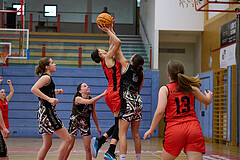 Basketball Superliga 2024/25, SLMU16 Traiskirchen Lionesses vs. VKL Vikings Kammer


