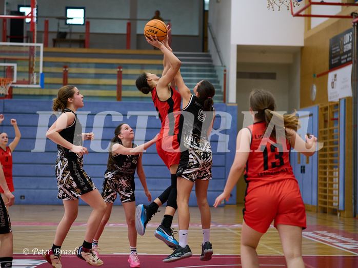 Basketball Superliga 2024/25, SLMU16 Traiskirchen Lionesses vs. VKL Vikings Kammer


