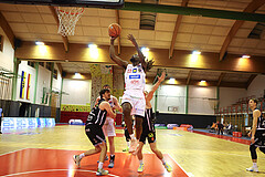 Basketball Superliga 2024/25, Grunddurchgang 19.Runde SKN St. Pölten vs. Fürstenfeld Panthers