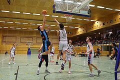 Basketball Zweite Liga 2024/25, Grunddurchgang 22.Runde Vienna United vs. Vienna Timberwolves


