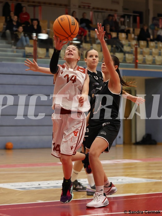 Basketball Superliga 2024/25, SLWU14 Traiskirchen Lionesses vs. ATUS Gratkorn Scorpions


