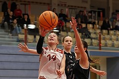 Basketball Superliga 2024/25, SLWU14 Traiskirchen Lionesses vs. ATUS Gratkorn Scorpions


