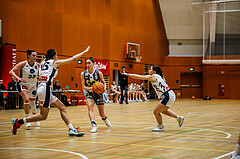 Basketball, Win2Day Basketball Damen Superliga 2024/25, Grunddurchgang 9.Runde, Vienna Timberwolves, Klosterneuburg Duchess, Michaela Wildbacher (9)