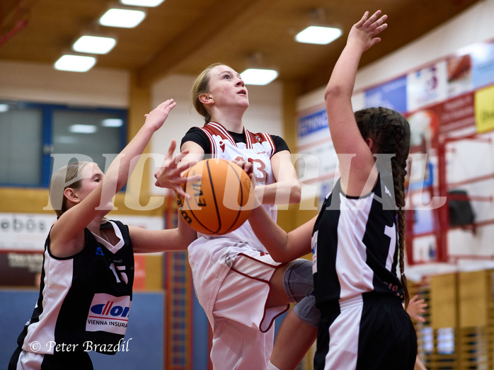 Basketball Superliga 2024/25, SLWU14 Traiskirchen Lionesses vs. DBK Steyrer Witches


