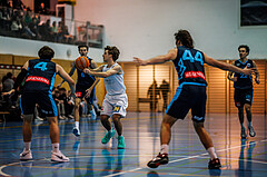 Basketball, Basketball Zweite Liga 2024/25, Grunddurchgang 13.Runde, UDW Alligators, Vienna Timberwolves, Simon Marek (11)