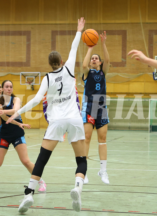 Basketball Damen Superliga 2024/25, Grunddurchgang 6.Runde Vienna United vs. Vienna Timberwolves


