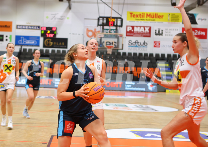 Basketball Damen Superliga 2024/25, Grunddurchgang 5.Runde BK Duchess Klosterneuburg vs. Vienna Timberwolves


