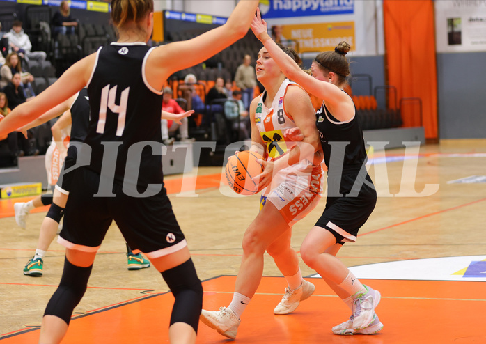 Basketball Austria Cup 2023/24, Semifinale BK Duchess Klosterneuburg vs. Basket Flames


