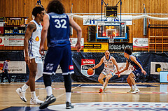 Basketball, win2day Basketball Superliga 2024/25, Grunddurchgang Runde 19, Oberwart Gunners, BBC Nord Dragonz, Sebastian Käferle (7)