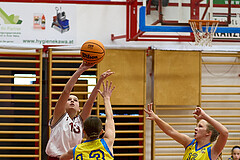 Basketball Superliga 2024/25, SLWU16 Traiskirchen Lionesses vs. UBBC Herzogenburg


