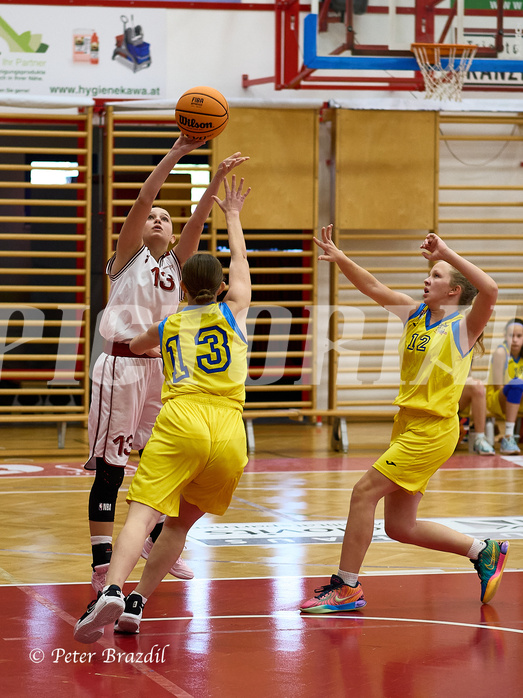 Basketball Superliga 2024/25, SLWU16 Traiskirchen Lionesses vs. UBBC Herzogenburg


