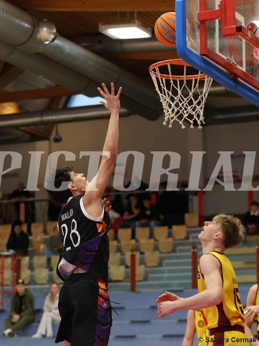 Basketball Zweite Liga 2024/25, Grunddurchgang 16.Runde Traiskirchen Lions NextGen vs. Vienna United
Basketball Zweite Liga 2024/25, Grunddurchgang 16.Runde Traiskirchen Lions NextGen vs. Vienna United