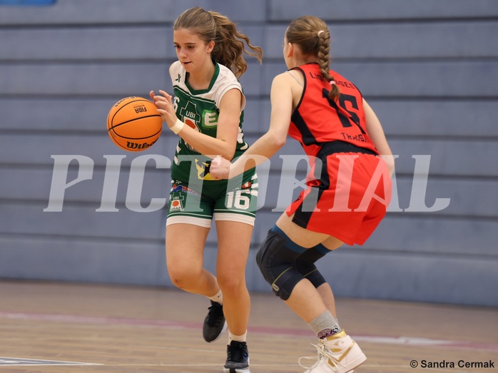 Basketball Superliga 2024/25, SLWU14 Traiskirchen Lionesses vs. UBI Graz


