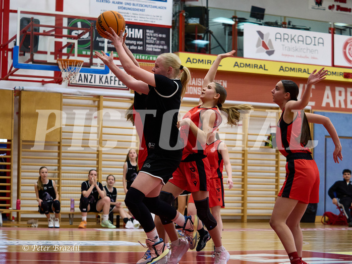 Basketball Superliga 2024/25, SLWU14 Traiskirchen Lionesses vs. Gratkorn Scorpions


