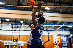 Basketball, win2day Basketball Superliga 2024/25, Grunddurchgang Runde 19, Oberwart Gunners, BBC Nord Dragonz, Siegfried Reid (5)