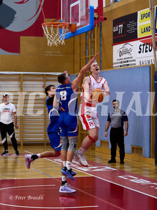 Basketball Superliga 2024/25, SLMU16 Traiskirchen Lions vs. FCN Baskets Wels


