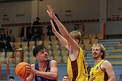 Basketball Zweite Liga 2024/25, Grunddurchgang 8.Runde Traiskirchen Lions NextGen vs. BBU Salzburg