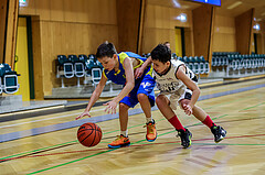 26.10.2024 Österreichischer Basketballverband 2024/25, SLMU14, Vienna Giants vs. SKN St. Pölten
