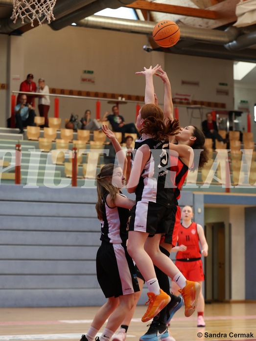 Basketball Superliga 2024/25, SLWU16 Traiskirchen Lionesses vs. DBK Steyrer Witch Cadets


