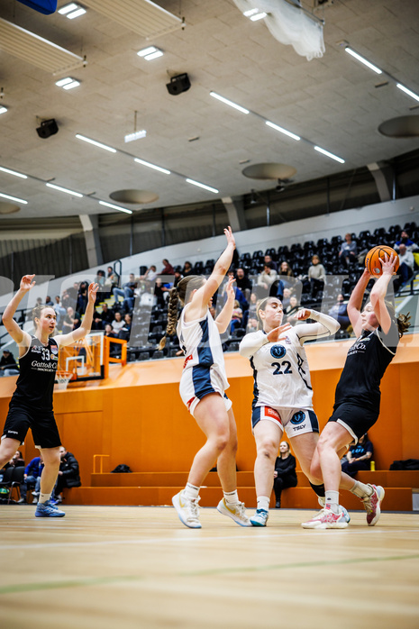 Basketball, Win2Day Basketball Damen Superliga 2024/25, Grunddurchgang 14.Runde, Vienna Timberwolves, Basket Flames, Stella Popp (4)
