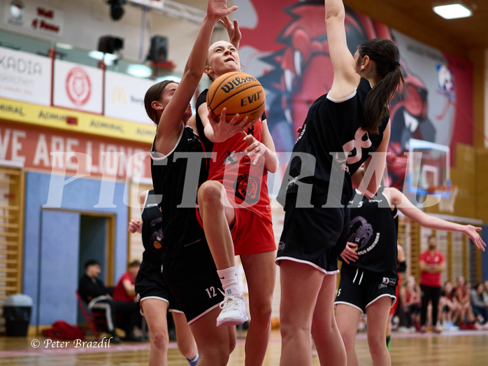 Basketball Superliga 2024/25, SLWU14 Traiskirchen Lionesses vs. Gratkorn Scorpions


