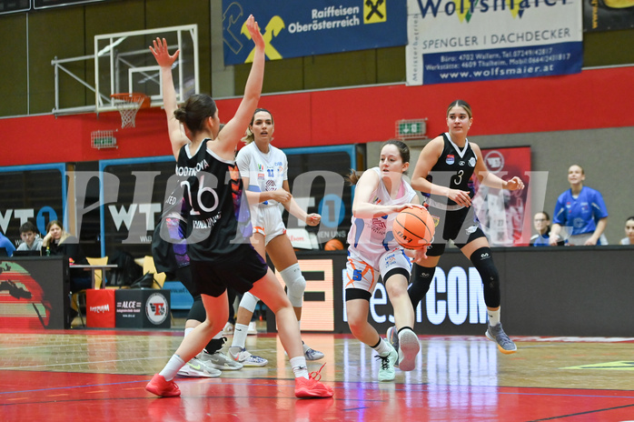 Basketball Superliga 2023/24, Grunddurchgang 11.Runde,
DBB LZ OÖ vs Vienna United,
