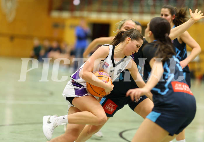 Basketball Damen Superliga 2024/25, Grunddurchgang 6.Runde Vienna United vs. Vienna Timberwolves


