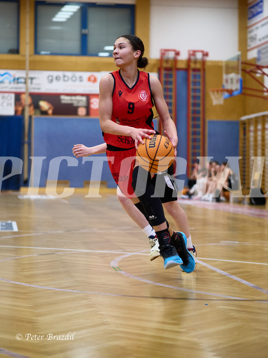 Basketball Superliga 2024/25, SLWU16 Traiskirchen Lionesses vs. BBC Nord Dragons


