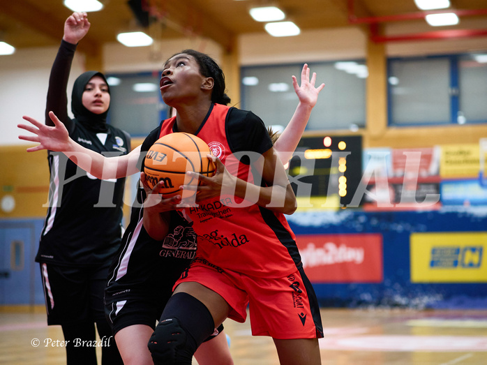 Basketball Superliga 2024/25, SLWU16 Traiskirchen Lionesses vs. BBC Nord Dragons


