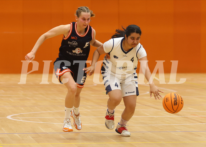 Basketball Damen Zweite Liga 2024/25, Playoffs, Platz 3 BC Vienna 87 vs. TI Innsbruck



