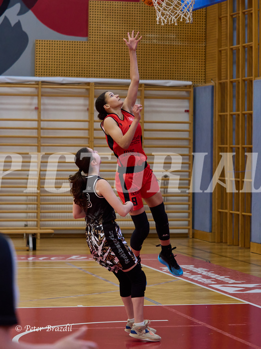 Basketball Superliga 2024/25, SLMU16 Traiskirchen Lionesses vs. VKL Vikings Kammer



