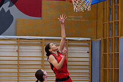 Basketball Superliga 2024/25, SLMU16 Traiskirchen Lionesses vs. VKL Vikings Kammer


