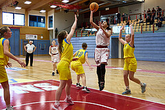 Basketball Superliga 2024/25, SLWU16 Traiskirchen Lionesses vs. UBBC Herzogenburg


