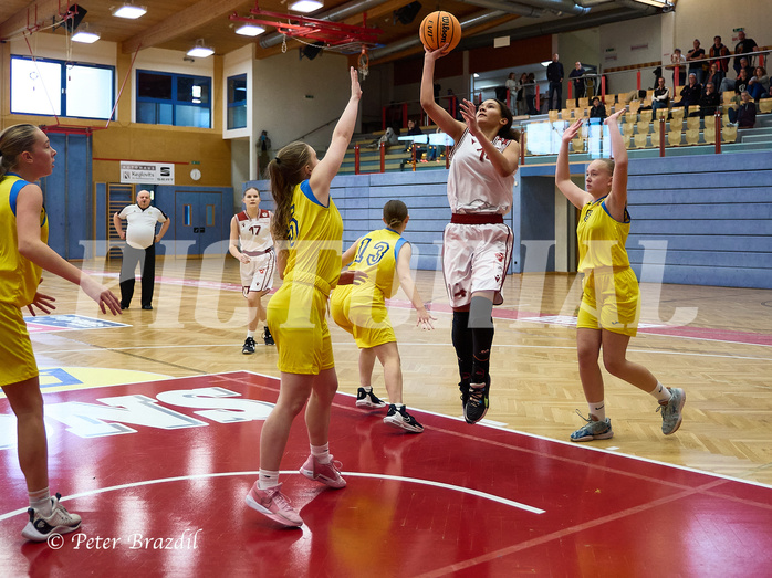 Basketball Superliga 2024/25, SLWU16 Traiskirchen Lionesses vs. UBBC Herzogenburg


