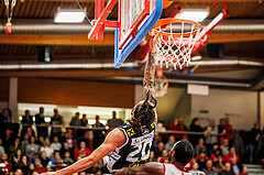 Basketball, win2day Basketball Superliga 2024/25, Grunddurchgang 9.Runde, Traiskirchen Lions, Gmunden Swans, Joseph Reece (20)