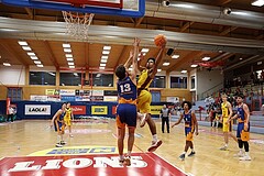 Basketball Zweite Liga 2024/25, Grunddurchgang 8.Runde Traiskirchen Lions NextGen vs. BBU Salzburg