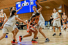 22.02.2025 Österreichischer Basketballverband 2024/25, SLWU14 Basket Flames UNION vs Basket Duchess