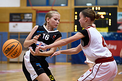 Basketball Superliga 2024/25, SLWU14 Traiskirchen Lionesses vs. DBK Steyrer Witches


